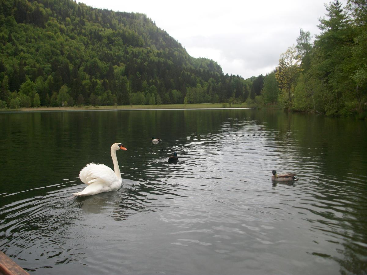 Haus Alpenrose Lägenhet Schwangau Exteriör bild